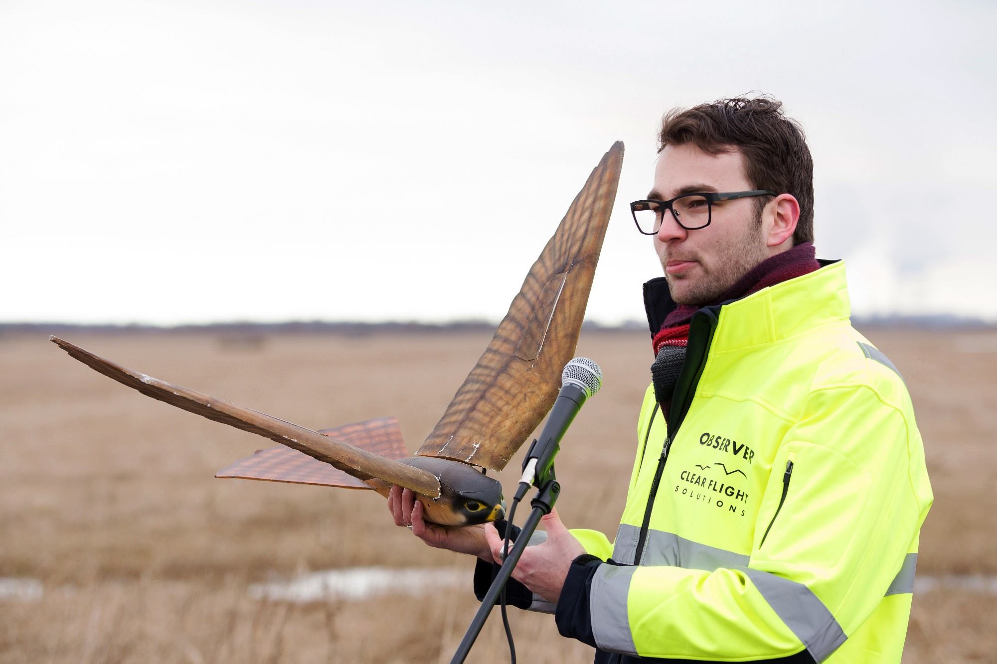 Robotvogel helpt tegen vogeloverlast