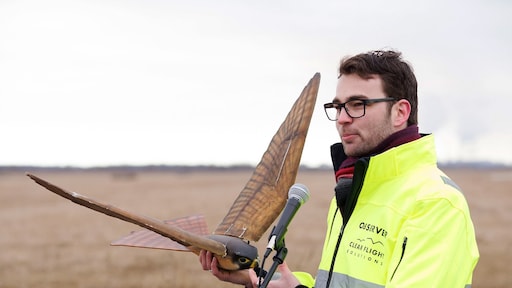 Robotvogel helpt tegen vogeloverlast