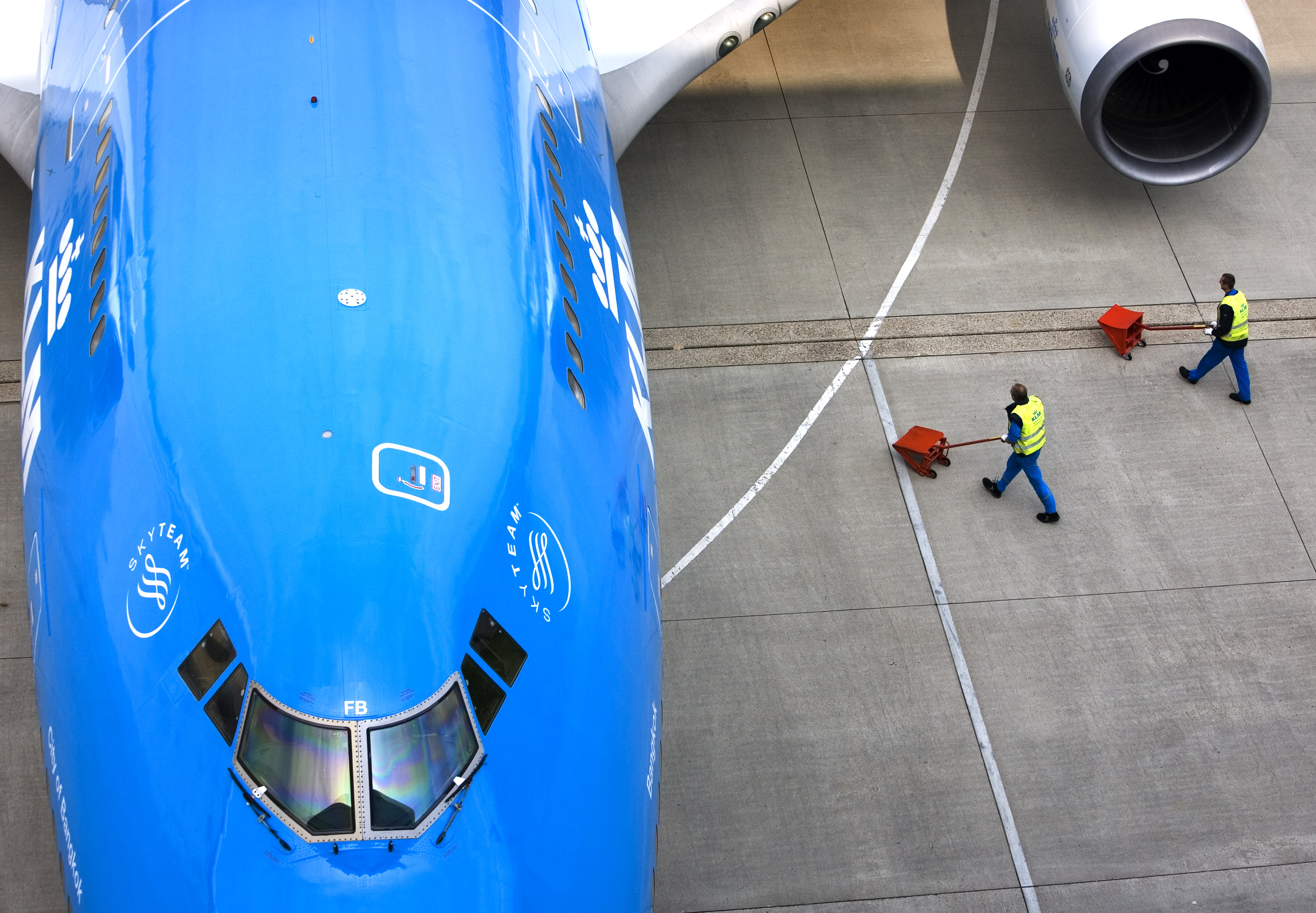Vliegen op frituurvet en tabak