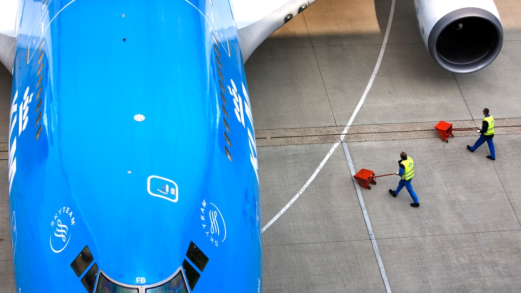 Vliegen op frituurvet en tabak