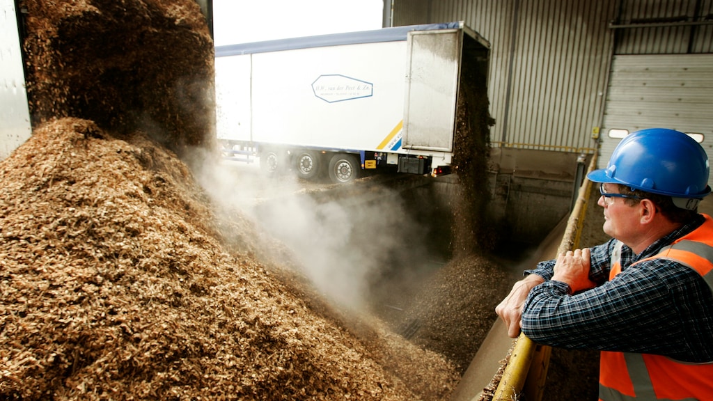 Wetenschappers: 'Biomassa niet duurzaam, stop met subsidies'