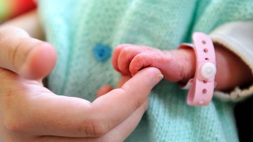 Wereldprimeur: eerste 'bouwpakketbaby' uit drie ouders in de maak
