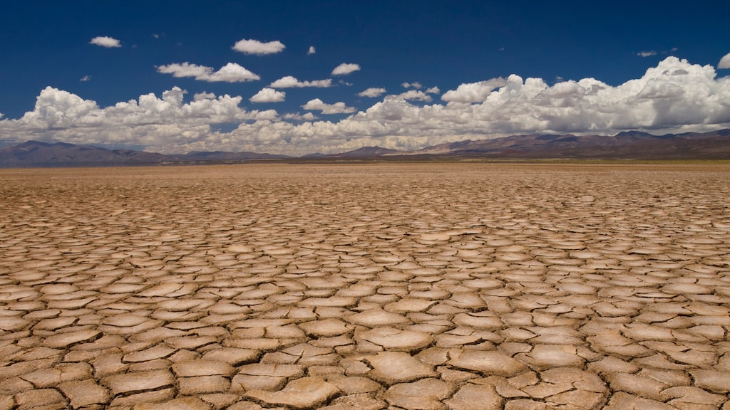 Gaan bedrijven het klimaat redden?