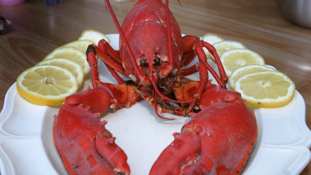 Kreeft en Belgische bonbons bij Albert Heijn?