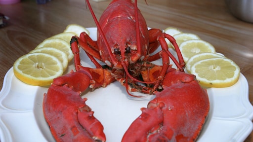 Kreeft en Belgische bonbons bij Albert Heijn?