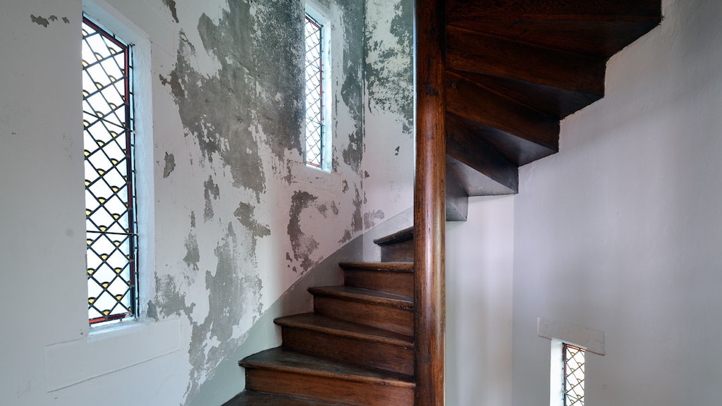 De parlementsgebouwen hebben een onderhoudsbeurt hard nodig.