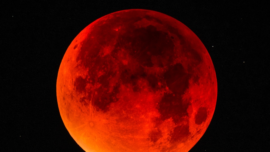 Vanavond unieke bloedmaan: waarom je moet kijken en hoe laat