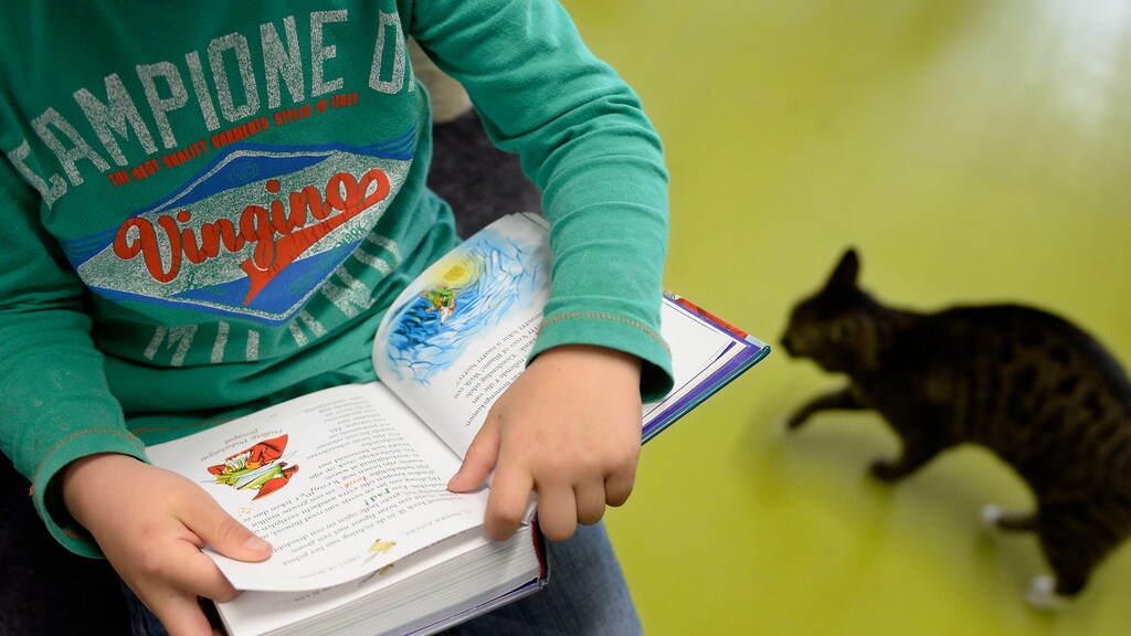 'Oetlul' en 'hoer': grove taal in kwart jeugdboeken