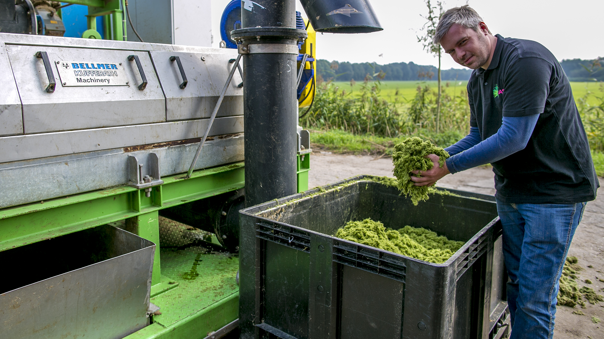 Gras kan dienen als voedsel voor dier en mens