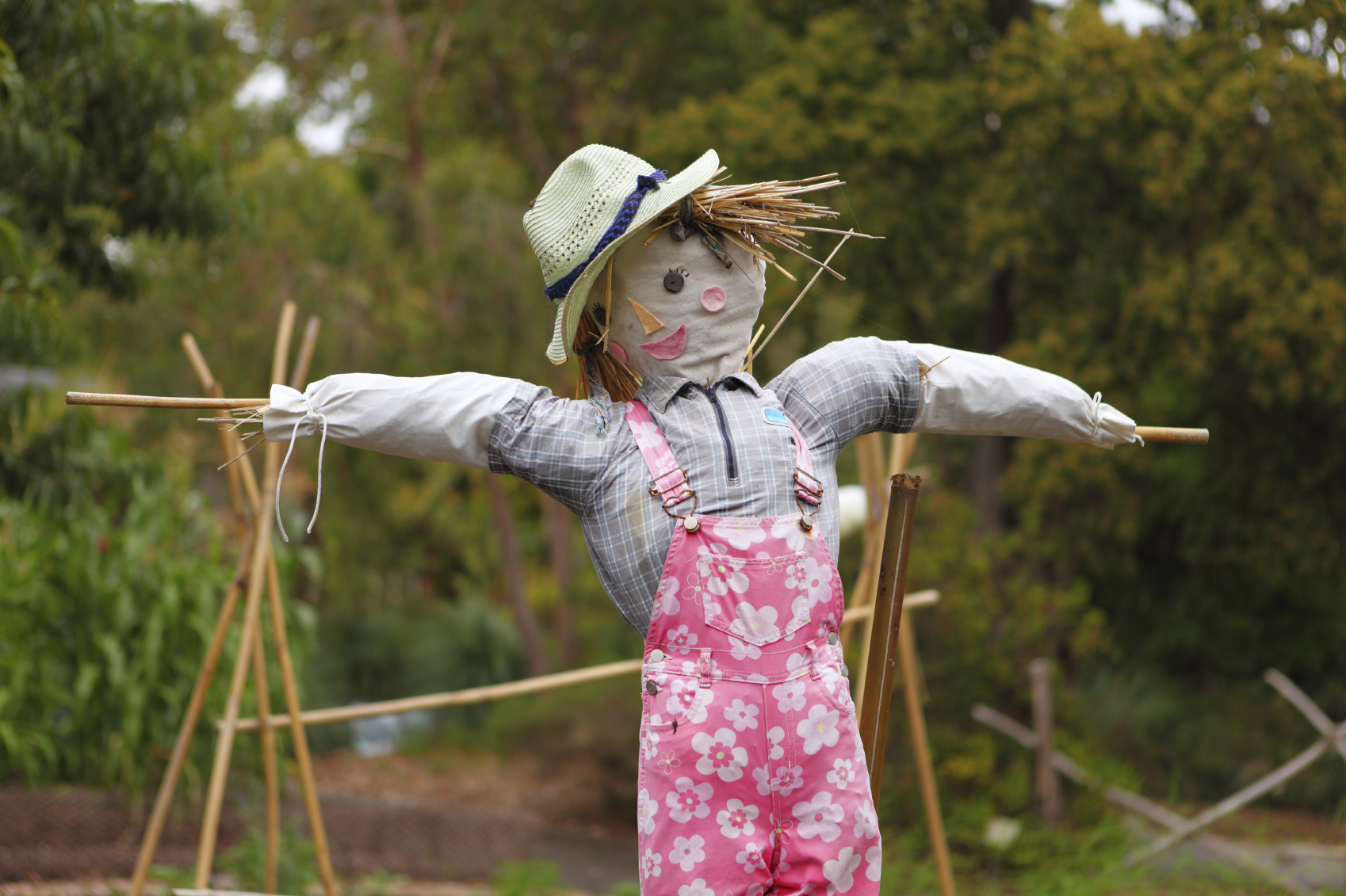Ambtenaar komt zes jaar niet opdagen en niemand heeft het door