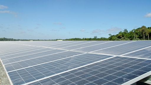 'Minister moet Utrecht dwingen huizen te bouwen in plaats van zonneweide'