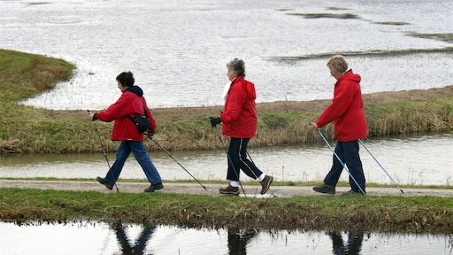 Stukken minder verkeer in 2020, maar we wandelden wel veel meer