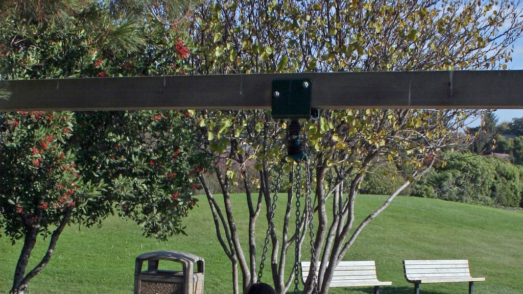 Met kind op reis naar het buitenland? Toon aan dat je toestemming hebt