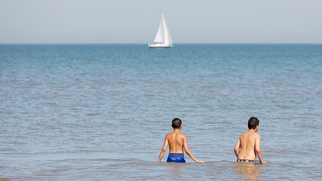 Oceanen nog nooit zo heet als afgelopen jaar