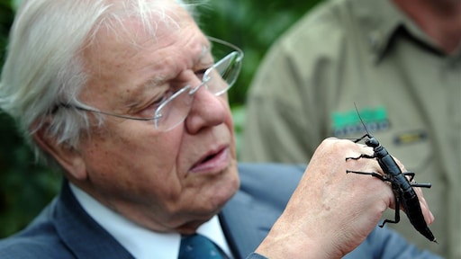 Onderzoeksboot vernoemd naar Sir Attenborough