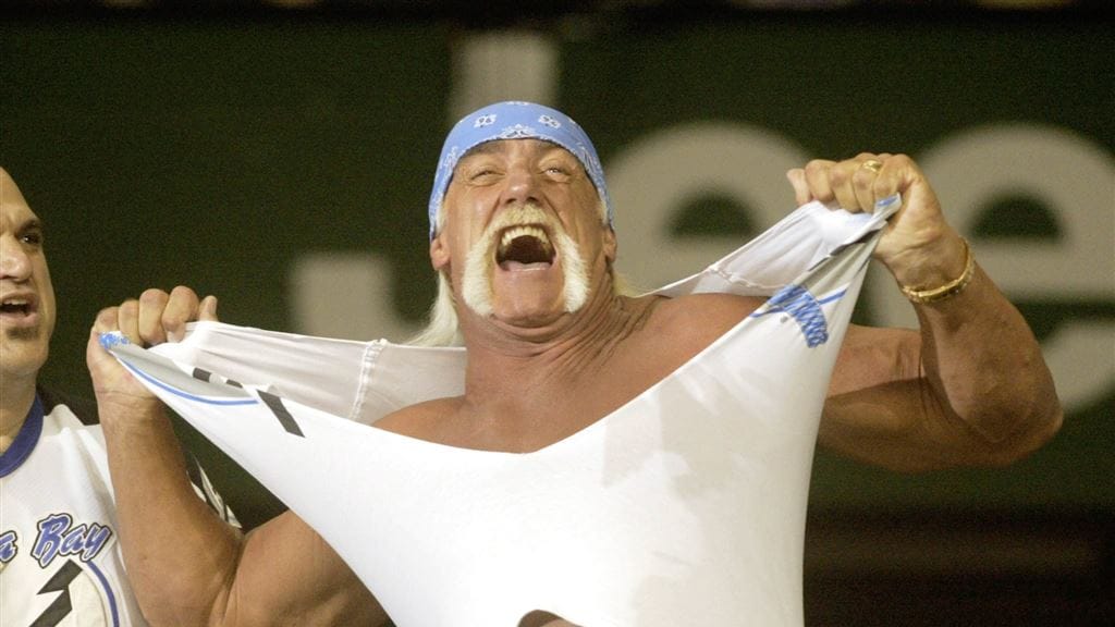 Sekstape Hulk Hogan kost Gawker de kop