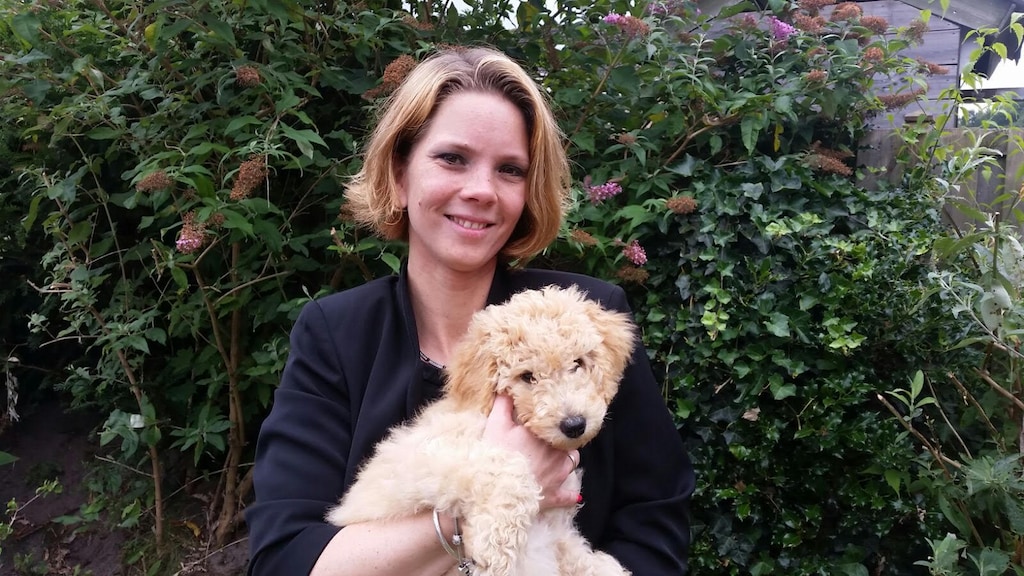 Hond Ruby gaat mensen troosten bij uitvaart: 'Knuffelen helpt'