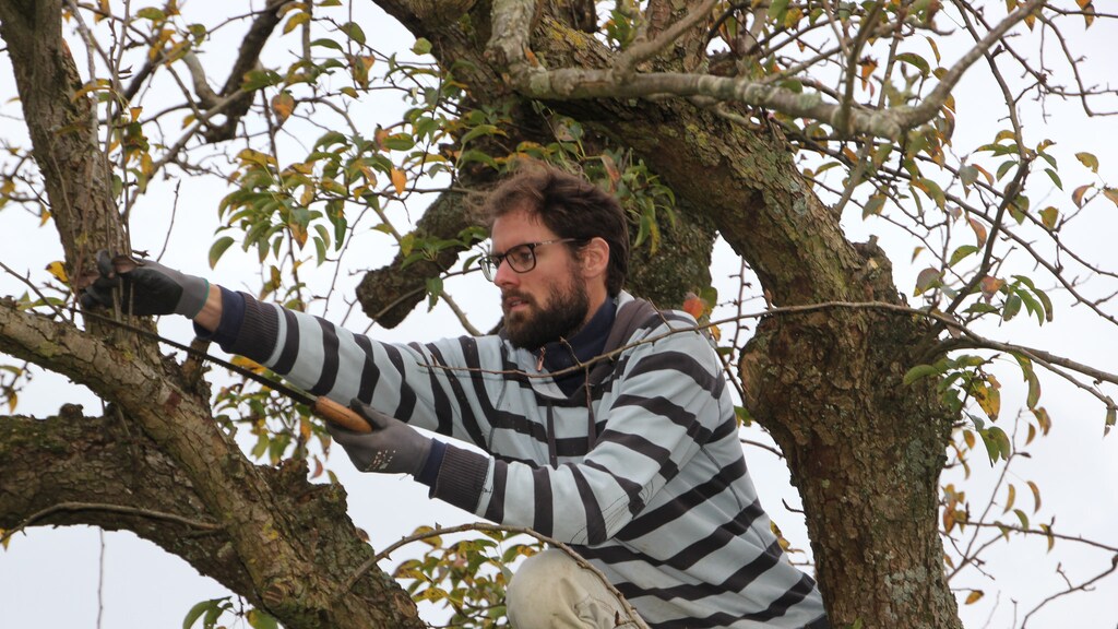 Hij was consultant bij Deloitte en gooide zijn leven om: 'Ik ben nu gelukkig met minder'