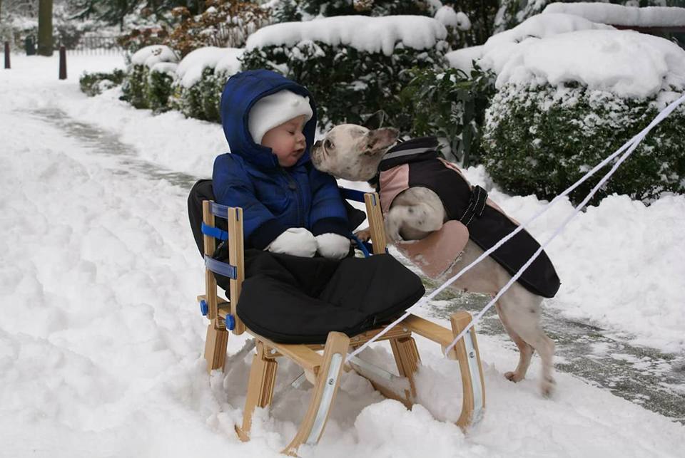 Wéér geen witte kerst, gelukkig hebben we de foto's nog