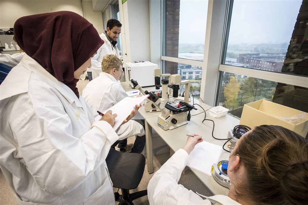 Run op populaire studies, twee keer zoveel inschrijvingen als plaatsen