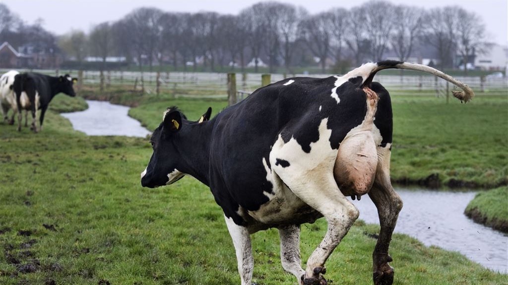 Boeren willen niet langer met minister Schouten praten over stikstof