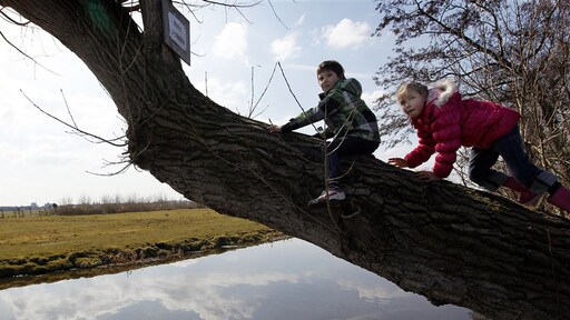 Ouders zijn te voorzichtig: 'Laat kinderen meer risico's nemen met spelen'