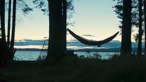 Liever niet op vakantie naar het Verenigd Koninkrijk en Zweden, maar waarom?