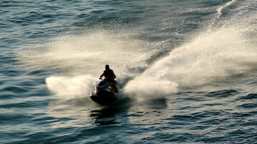 Voorwaardelijke straf voor fataal ongeluk met jetski