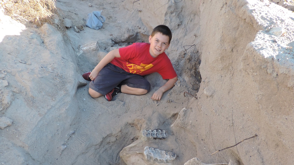 9-jarige struikelt, valt en vindt fossiel van miljoen jaar oud