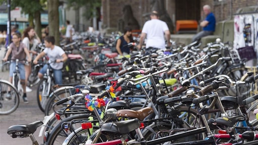 Inzetten van lokfiets leidt tot flinke daling diefstallen