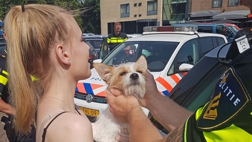 Nieuw waarschuwingsbord: op slot, hond eruit