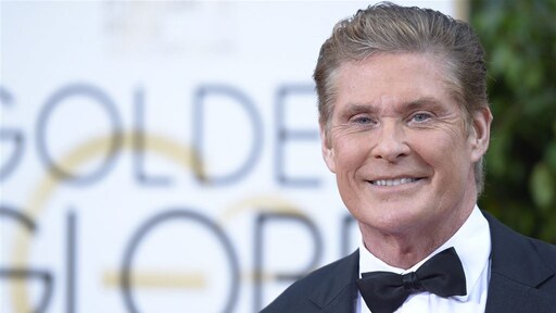 'American Idol wil David Hasselhoff in jury'