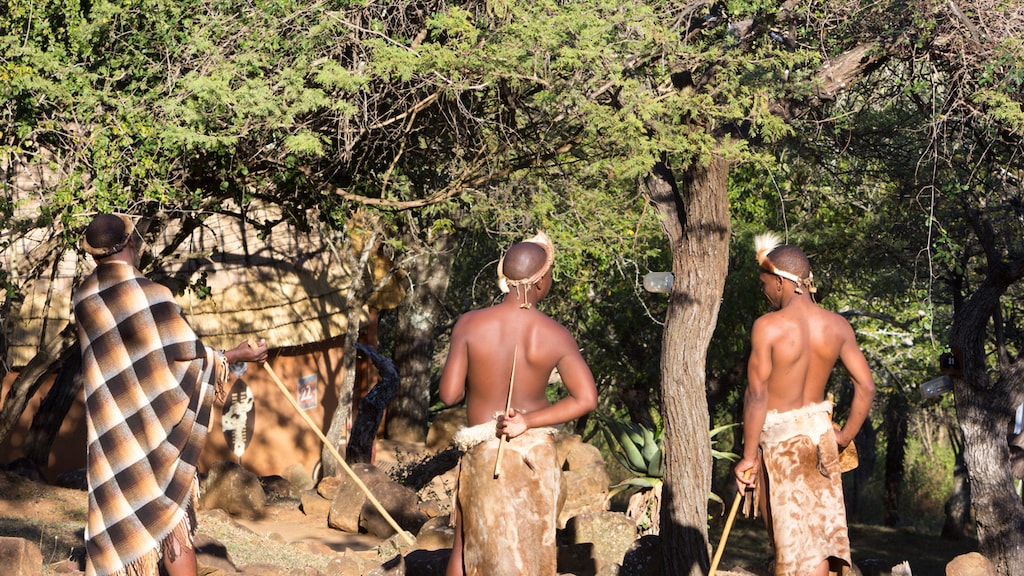 Man meldt zich op bureau met hand en been: politie Zuid-Afrika onderzoekt kannibalisme