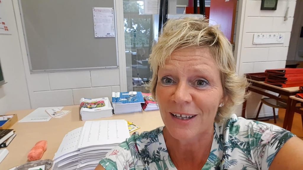 Dagboek van een juf, deel 2