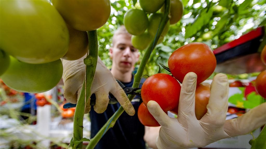 19.000 flexwerkers vragen steun aan, noodloket langer open