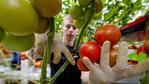 19.000 flexwerkers vragen steun aan, noodloket langer open