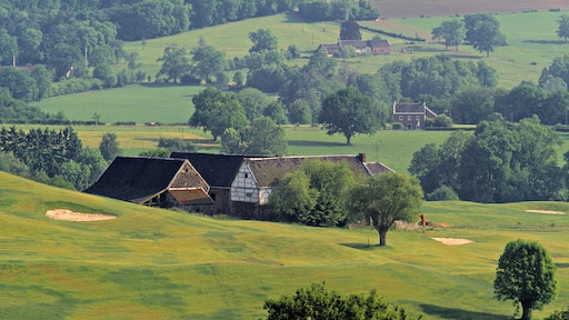 De regio waar je opgroeit bepaalt je latere inkomen, ook in Nederland