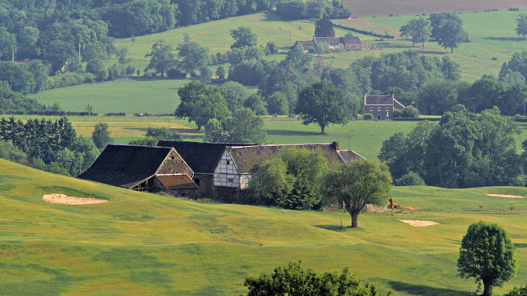 De regio waar je opgroeit bepaalt je latere inkomen, ook in Nederland