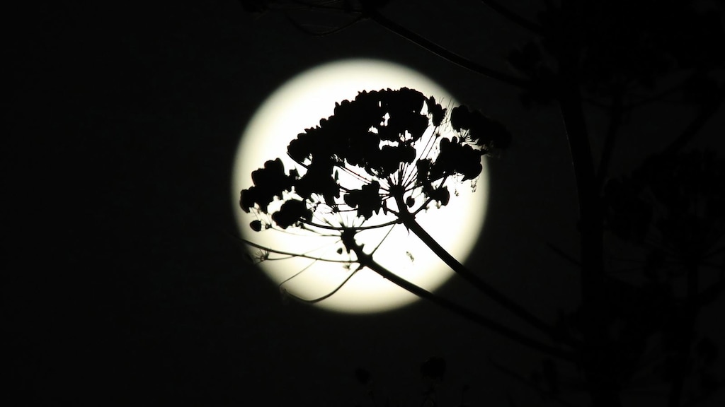 De supermaan van 3 december