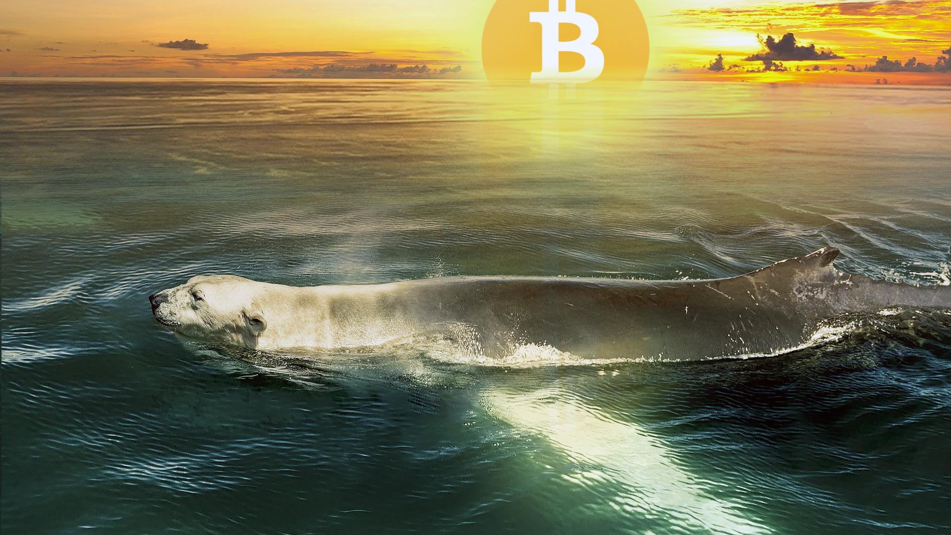 Hodl maar word geen baghodler anders ben je #rekt: cryptojargon uitgelegd