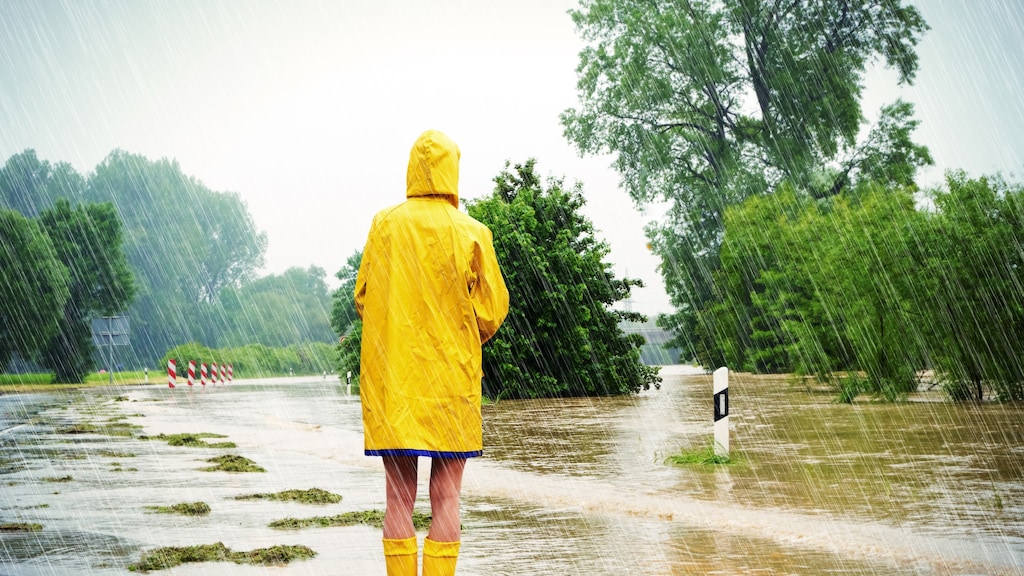 KNMI: als het zo doorgaat, stijgt zeespiegel met meer dan een meter