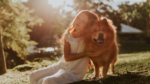 'Al 14.000 jaar emotionele band mens en hond'