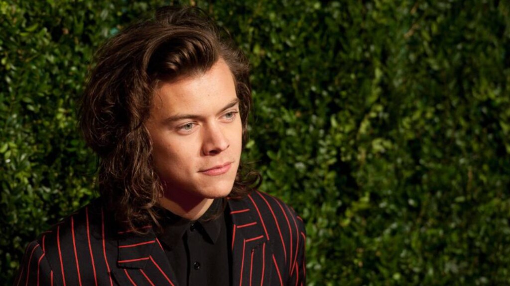 Fans Harry Styles alweer in de rij