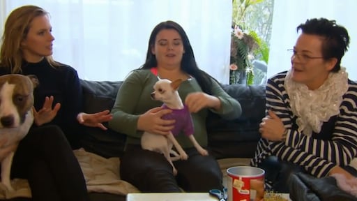 Vier handen op één buik schrapt omstreden clausules