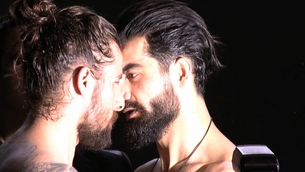 Utopia kemphanen Ivan en Ruud lijnrecht tegenover elkaar