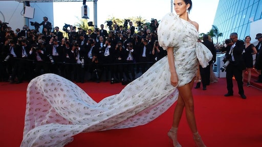 Kendall Jenner zingt over haar vagina