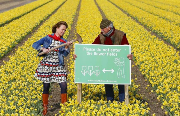 Bollenboer aan tulpentoerist: 'Hou afstand en beschadig de bol niet'