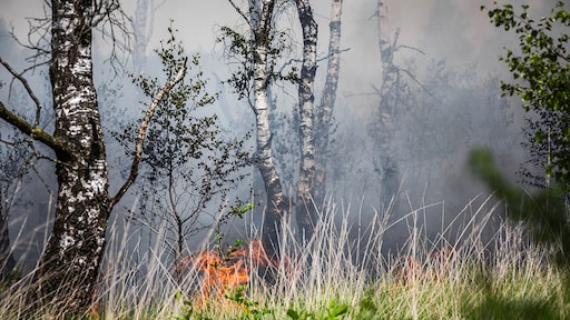 Overal is het droog, en dat wordt niet beter: 'Komt voorlopig geen regen aan'