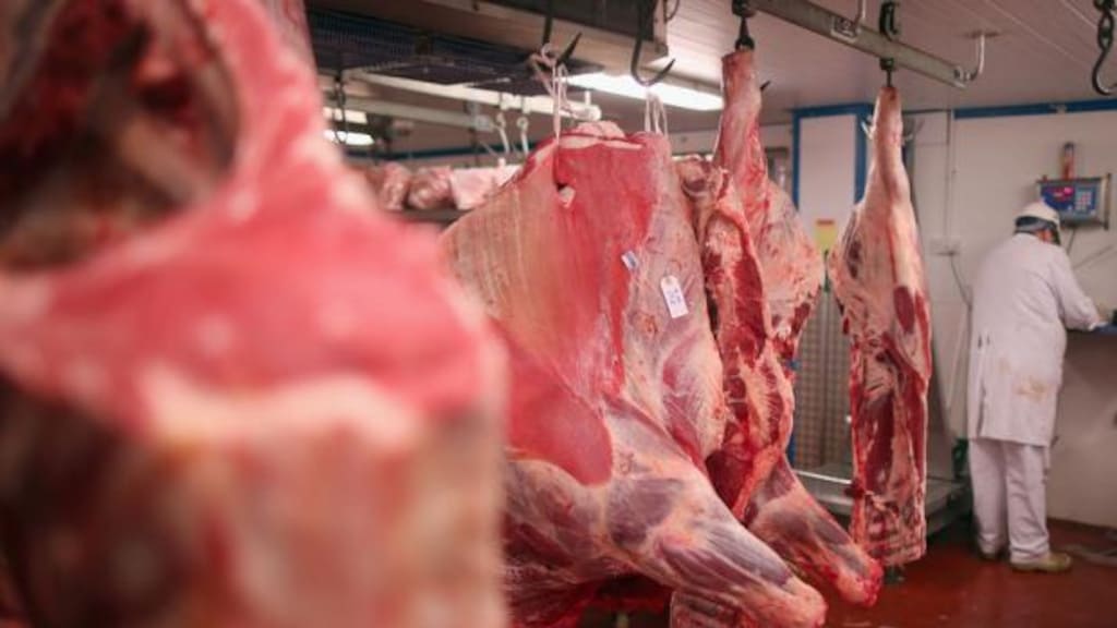 Wakker Dier: 'Perverse vleessubsidies EU moeten stoppen'