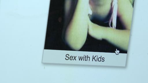 Gevaarlijk pedohandboek ongestoord verspreid via internet, politiek wil verbod